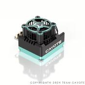 Variateur CREST X EVO Racing 1/10e 160 CAYOTE
