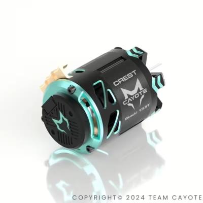Brushless motors CAYOTE 1/10e & 1/8e