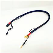 Cable de charge 2S PK 4/5mm+prise Equilibrage pour sortie Chargeur XT60 Noir ( 60cm ) WS-LINE