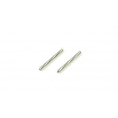 Rear Hub Carrier Hing pin (2pcs) SWORKZ