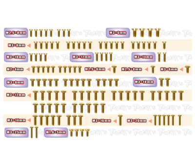 Kit complet de vis acier nitride doré pour Associated B84 (123 pièces) T-WORK'S