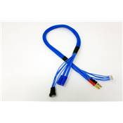 Cable de charge EC5 avec prise d'équilibrage 4s intégrée (60cm) WS-LINE