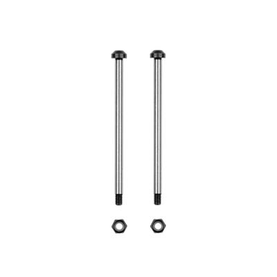 RC10 FT Captured Rear Inner Hinge Pin, 58.7mm TEAM ASSOCIATED