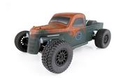 SC "Trophy Rat" RTR 1/10e TEAM-ASSOCIATED