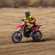 Moto RC 1/4 - Promoto-MX FXR - ROUGE - RTR SANS accu, ni chargeur LOSI