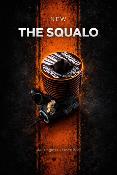 Moteur seul "SQUALO" Limited DLC Buggy .21 Céramique carb. Alu. PICCO