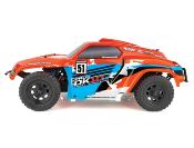 PRO2 DK10SW DAKAR 1/10 Buggy RTR Orange/Bleu ASSOCIATED