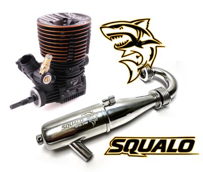 Combo moteur "SQUALO" DLC Buggy .21 Céramique + Ligne EFRA 2166 inline Squalo PICCO