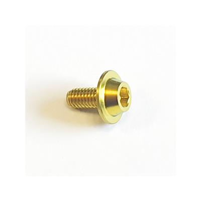 Vis de cloche titane 6AL/4V