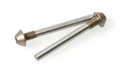 Pivot pin screw 25mm (2) SCHUMACHER RACING