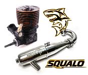 Combo moteur "SQUALO" DLC Buggy .21 Céramique + Ligne EFRA 2166 inline Squalo PICCO