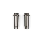 Corps d'amortisseurs anodisés hard (1.02) avants RC10 TEAM-ASSOCIATED