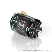 Moteur Brushless Crest Stocki 13.5T 1/10e CAYOTE