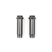 Corps d'amortisseurs anodisés hard (1.02) arrières RC10 TEAM-ASSOCIATED