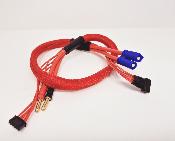 Câble de charge EC5 avec prise d'équilibrage 4s intégrée (60cm) WS-Line